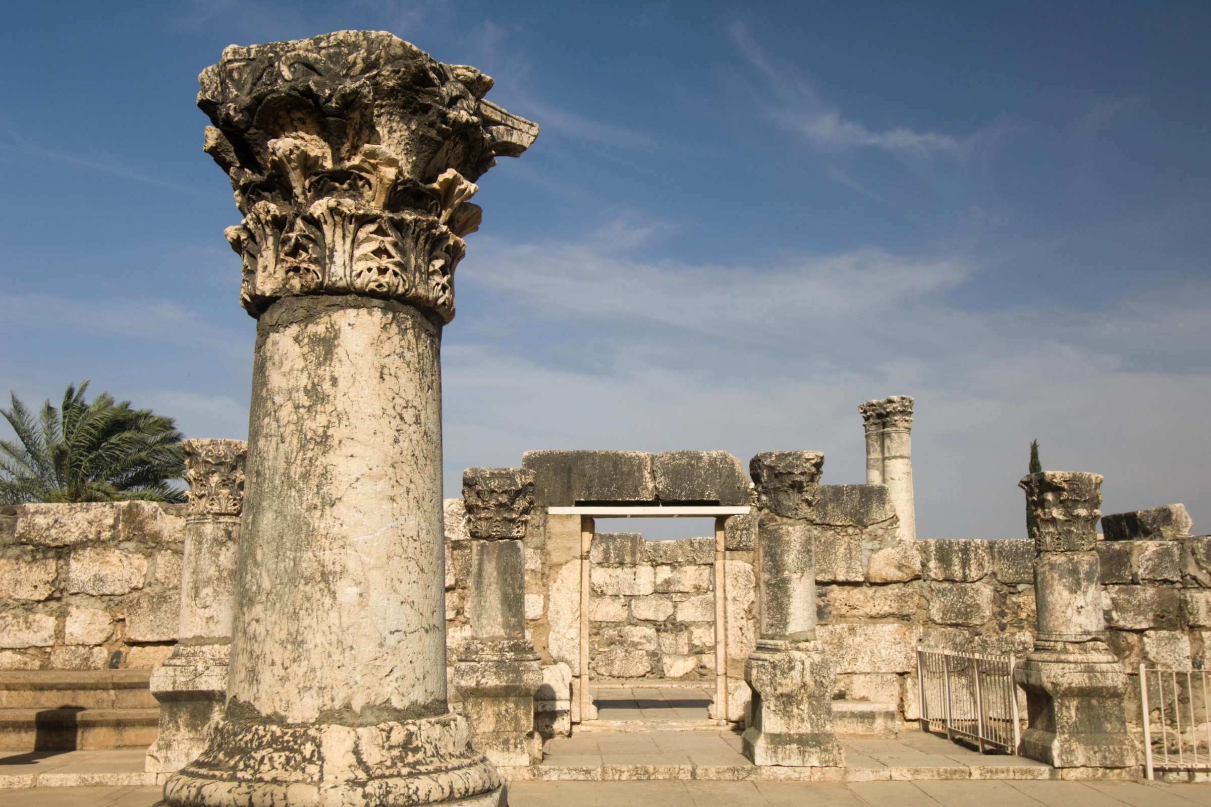 Capernaum[1].webp